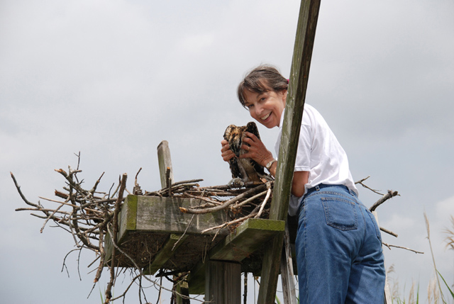 Lois Abbott learns to band osprey