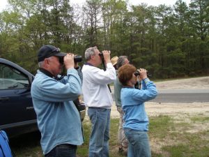 Birding with Laurie