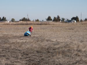 Public lands clean-up